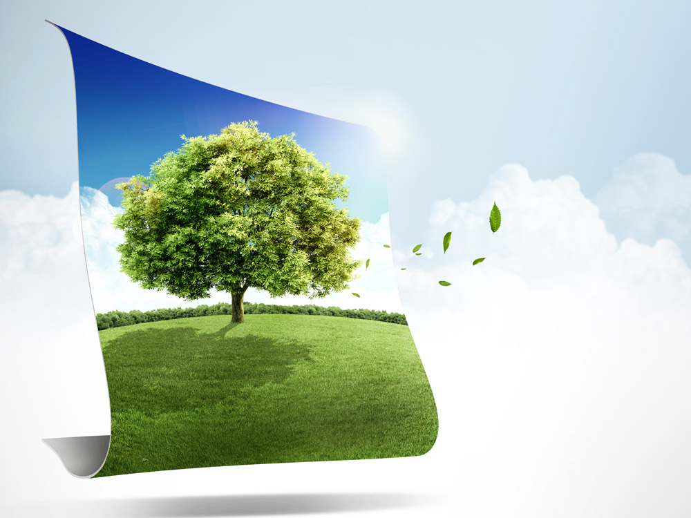 山東省環(huán)境保護廳關(guān)于建立建設(shè)項目環(huán)評審批聯(lián)動機制的通知